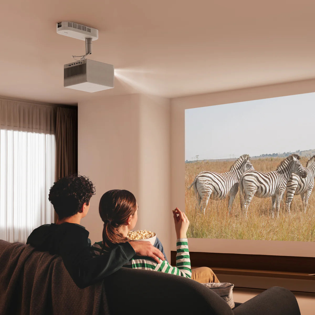 Projector Setup and Installation Options